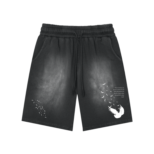 Swan Lake // Patch Washed Shorts